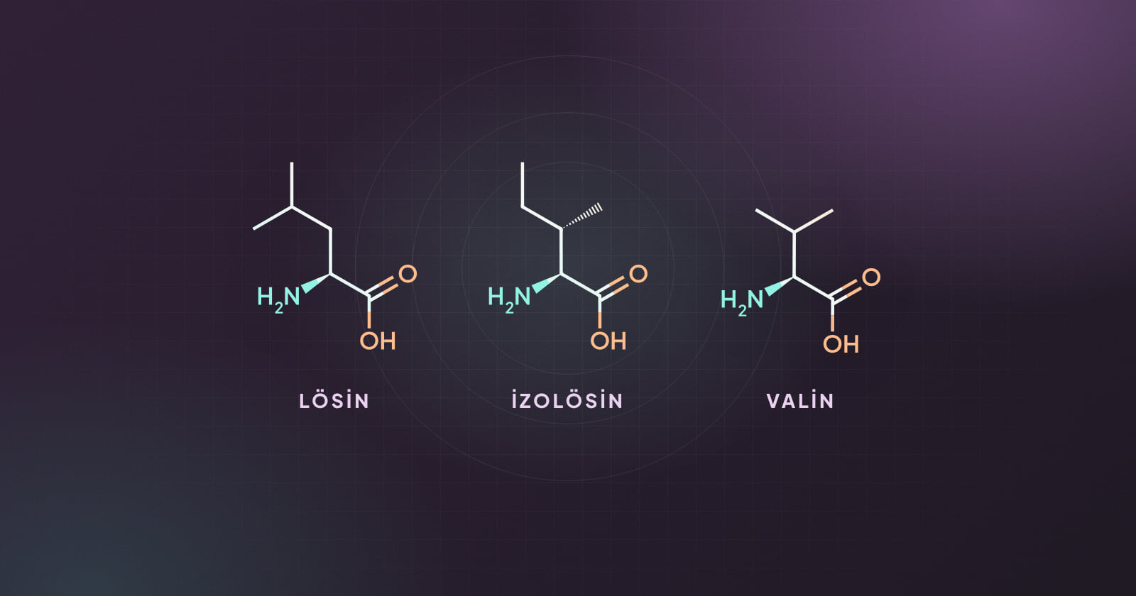 Lösin, izolösin ve valin molekülleri çizimi