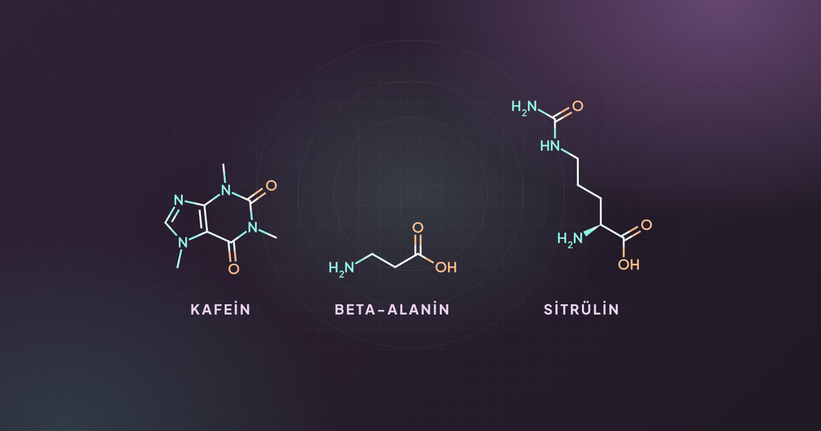 Kafein, beta-alanin ve sitrülin molekülleri çizimi