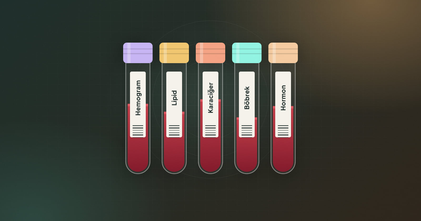 Hemogram, lipid, karaciğer, böbrek ve hormon tahlilleri için etiketlenmiş kan tüpleri