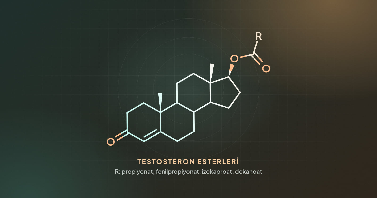 Testosteron esterinin kimyasal yapısı; R, Sustanon 250'deki dört farklı ester zincirini gösterir