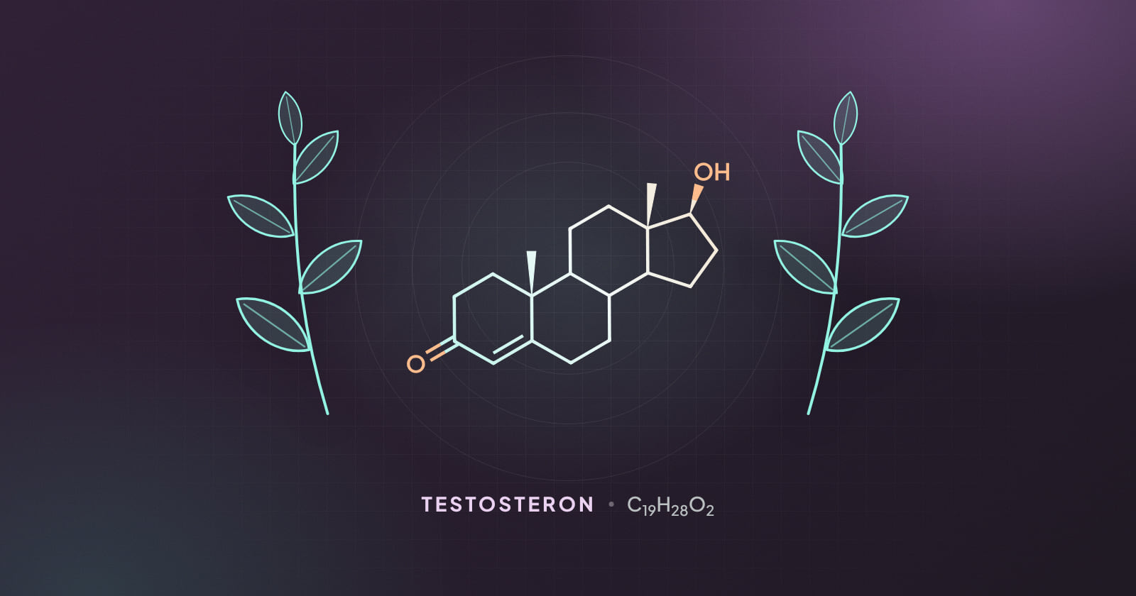Testosteron molekülü ve yaprak çizimleri